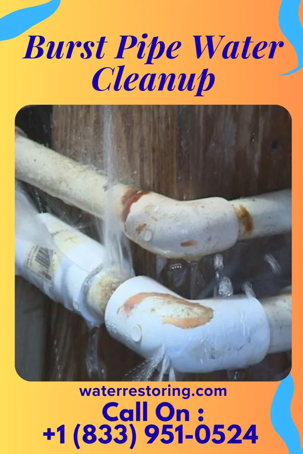 Burst Pipe Water Cleanup in Northchase, NC
