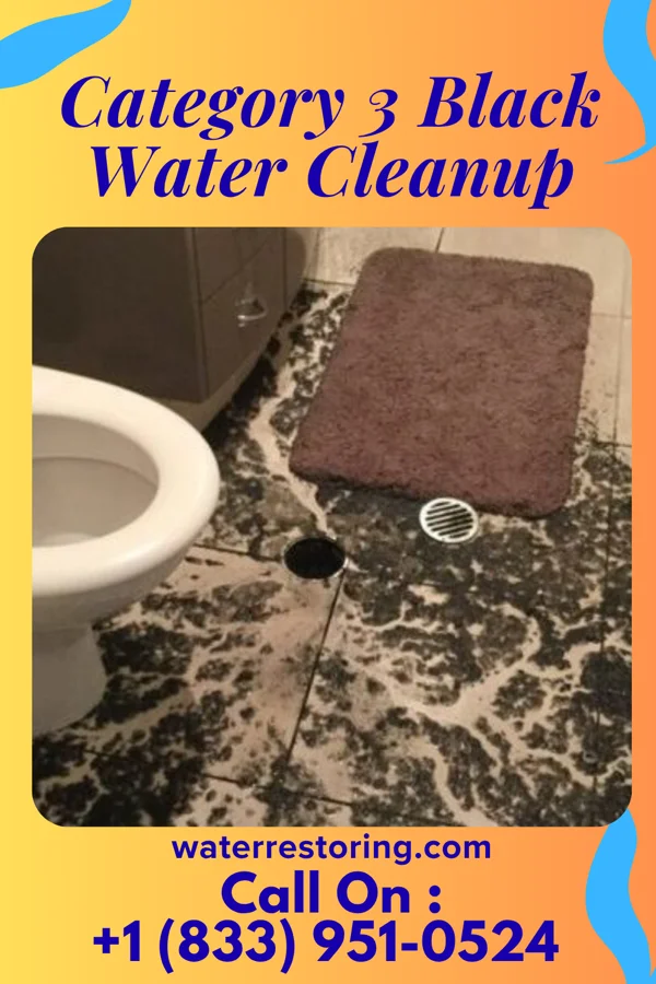 Category 3 Black Water Cleanup in Northchase, NC