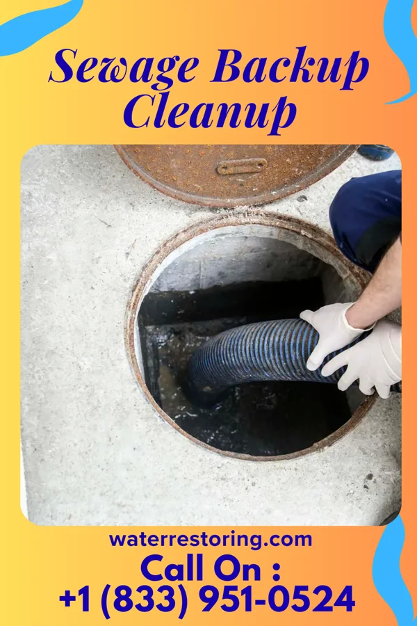Sewage Backup Cleanup in Northchase, NC
